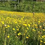 게스트하우스 Quinta Do Eido 포보아데란호소