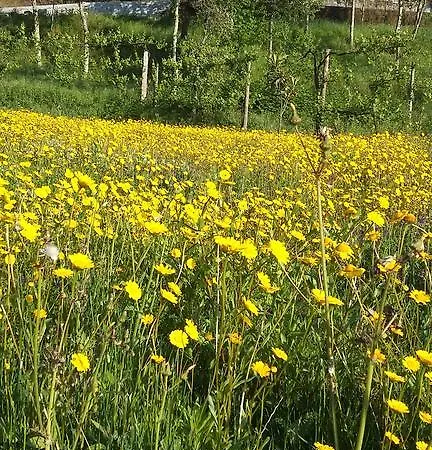 Casa de hóspedes Quinta Do Eido Póvoa de Lanhoso