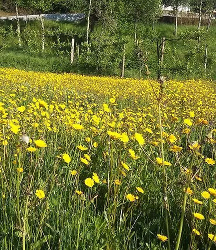 Vendégház Quinta Do Eido Póvoa de Lanhoso