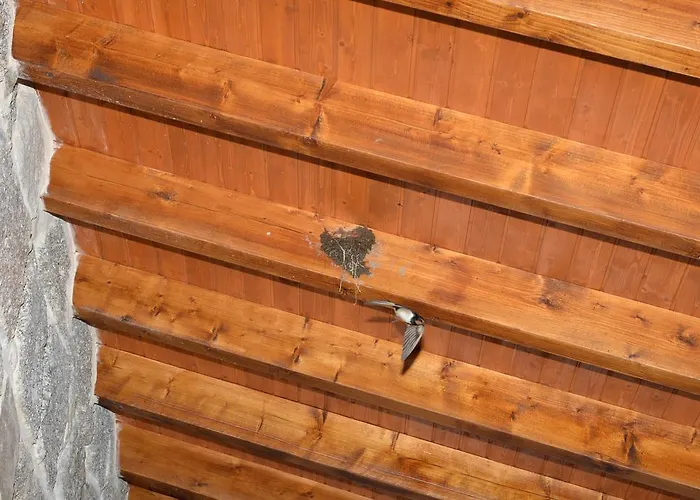 Quinta Do Eido Vendégház Póvoa de Lanhoso